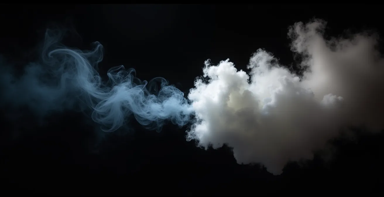 Comparaison visuelle de la densité de vapeur entre PG et VG